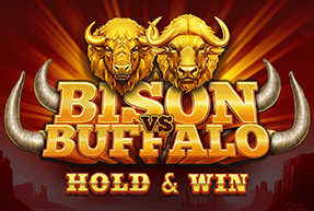 Bison vs Buffalo