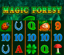 Magic Forest