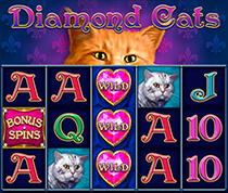 Diamond Cats